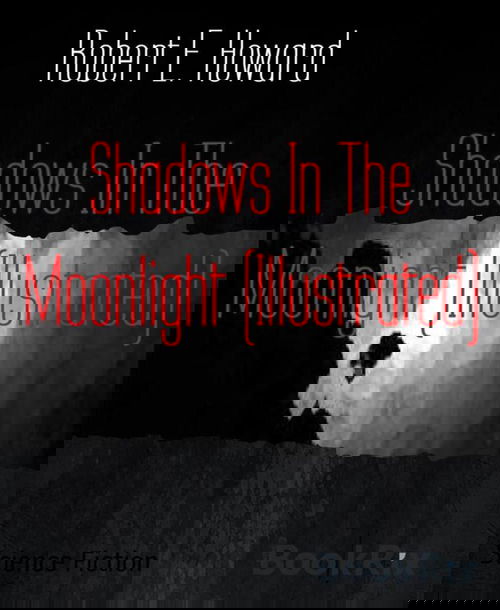 Shadows In The Moonlight (Illustrated)