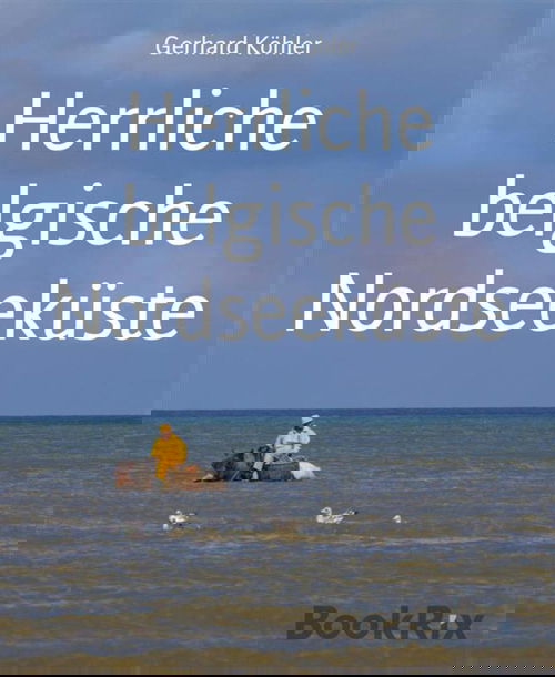 Herrliche belgische Nordseeküste