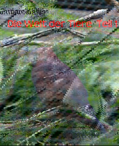 Die Welt der Tiere  Teil 1