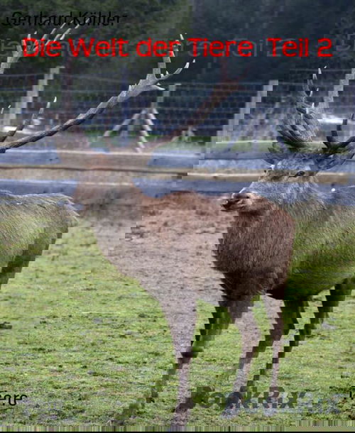 Die Welt der Tiere  Teil 2