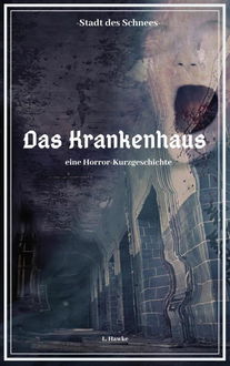 Die Stadt des Schnees - Das Krankenhaus