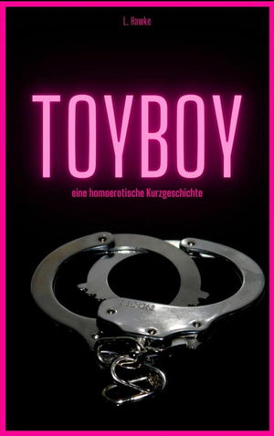 ToyBoy