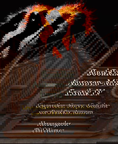BookRix Autoren-Mix Erotik IV