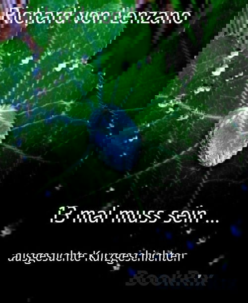 13 mal muss sein ...