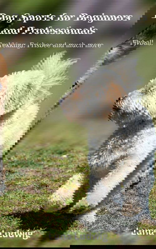 Dog Sports for Beginners and Professionals