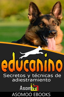 Educanino