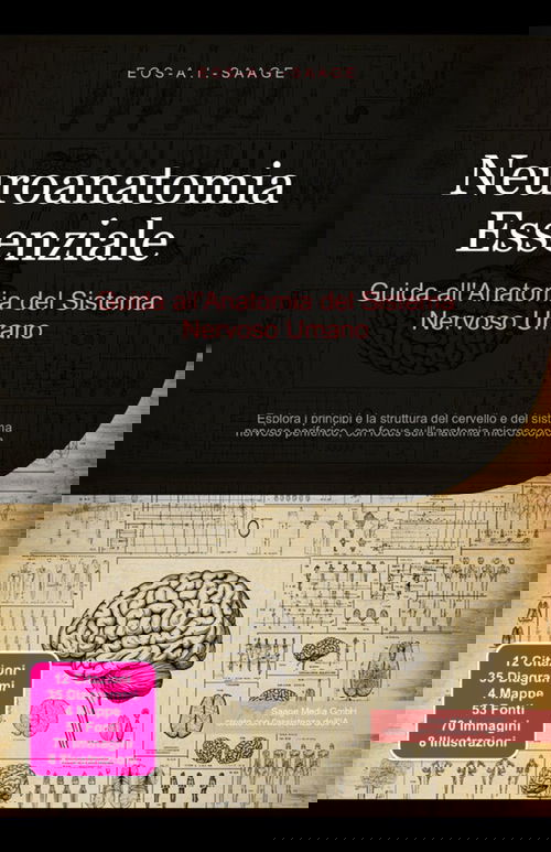Neuroanatomia Essenziale: Guida all'Anatomia del Sistema Nervoso Umano