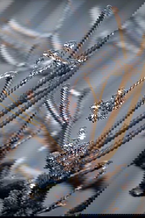 Andere Ansichten 2026 Jänner