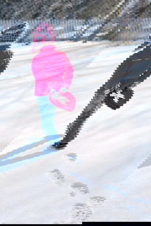 Other Views 2026 January