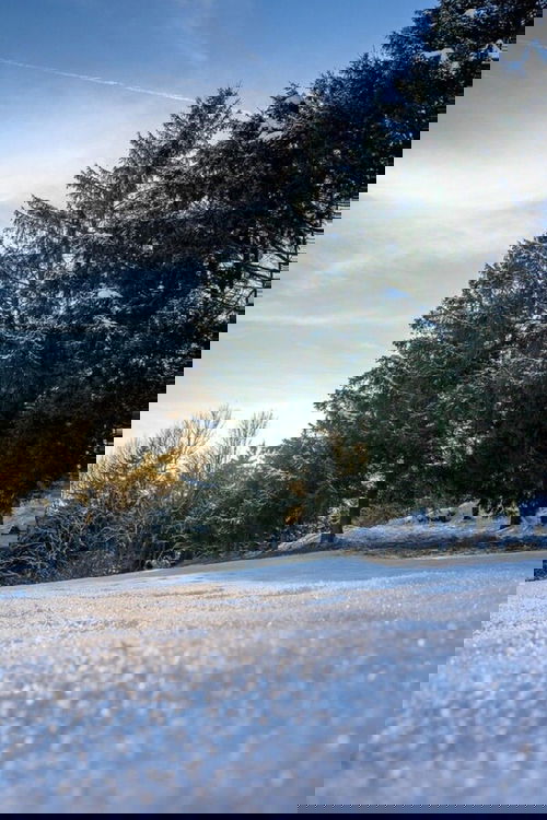 Autres vues janvier 2026