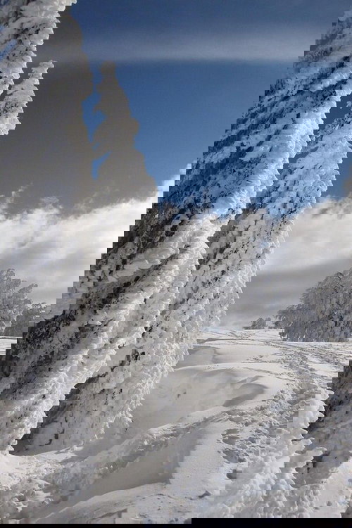 Andere Ansichten 2026 1.Quartal