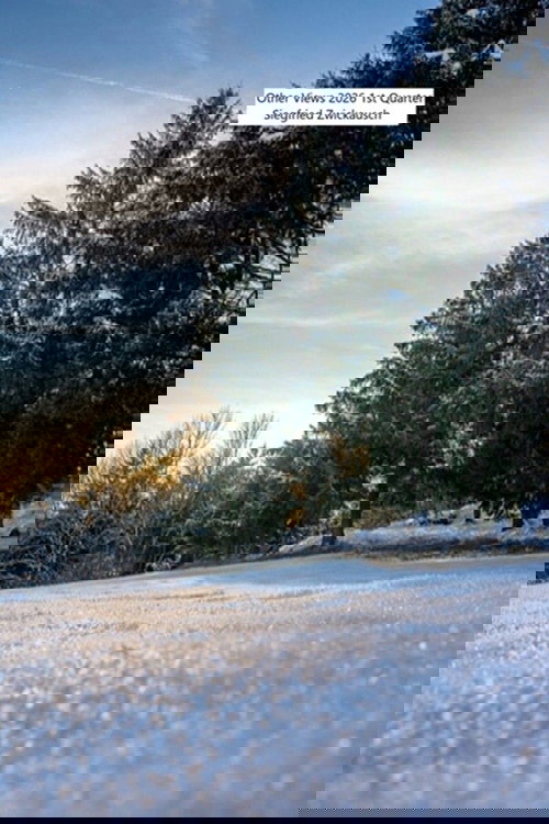 Other Views 2026 1st Quarter