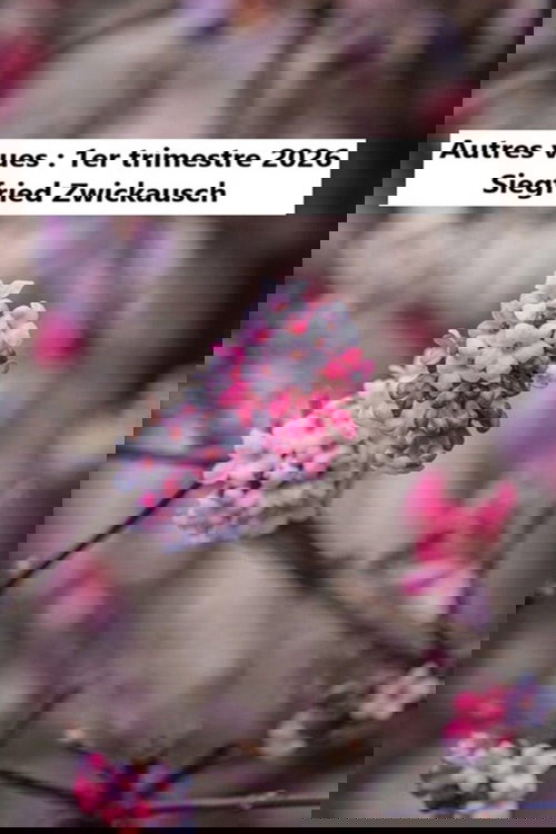 Autres vues : 1er trimestre 2026