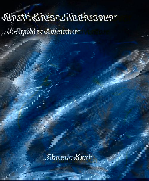 North Korea Undercover