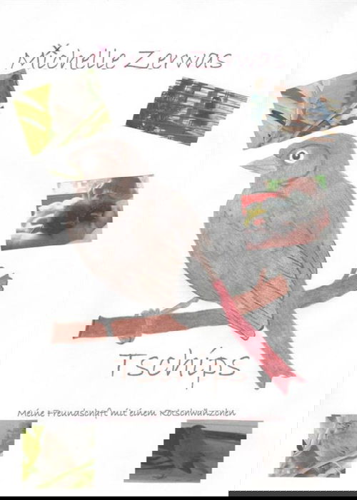 Tschips -  Meine Freundschaft mit einem Rotschwänzchen