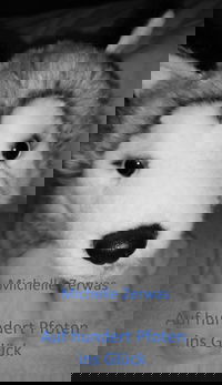 Auf hundert Pfoten ins Glück