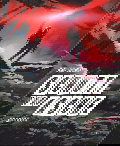 Schutt und Asche (Taranique Bay 3)