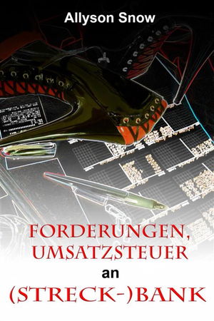 Forderungen, Umsatzsteuer an (Streck-)Bank