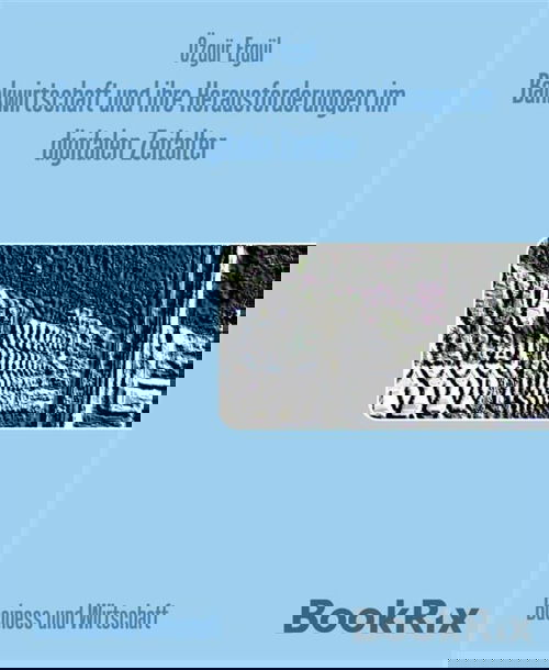 Bankwirtschaft und ihre Herausforderungen im digitalen Zeitalter