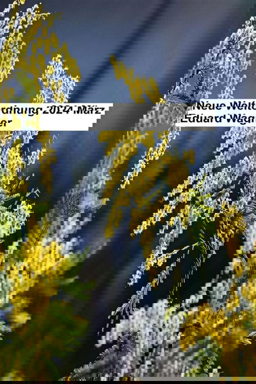 Neue Weltordnung 2024 März