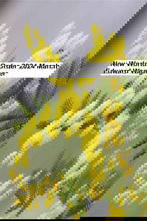 New World Order - 2024 March