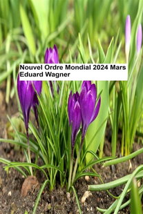 Nouvel Ordre Mondial - Mars 2024