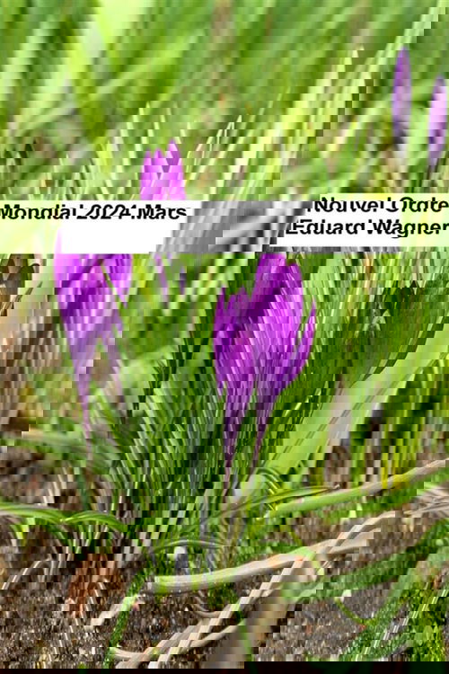 Nouvel Ordre Mondial - Mars 2024