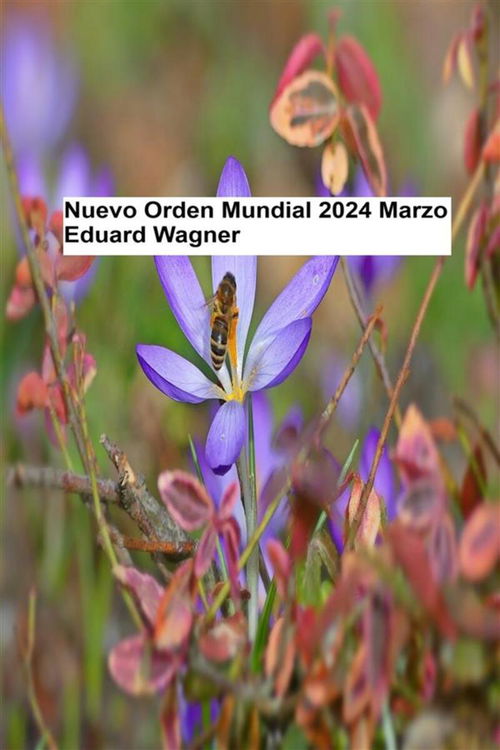 Nuevo Orden Mundial - Marzo 2024