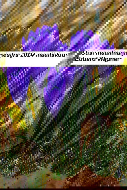 Uusi maailmanjärjestys - 2024 maaliskuu