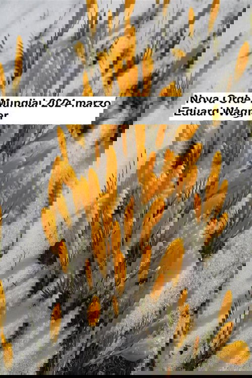 Nova Orde Mundial - marzo de 2024