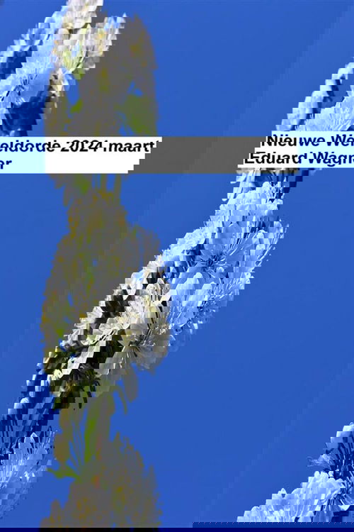 Nieuwe Wereldorde - 2024 maart