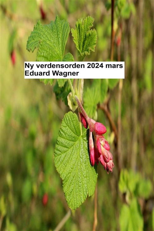 Ny verdensorden - mars 2024