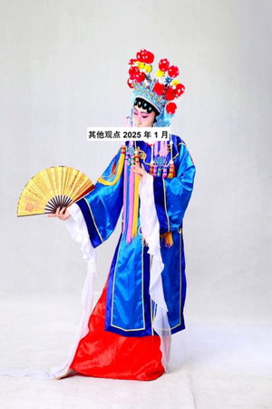 其他观点 2025 年 1 月