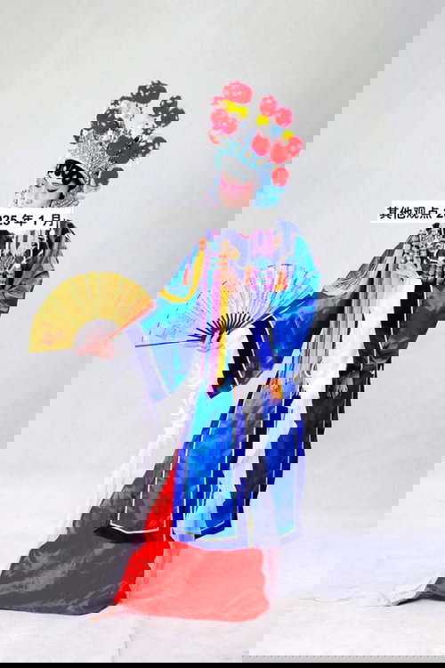 其他观点 2025 年 1 月