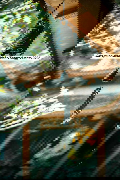 Các quan điểm khác Tháng 1 năm 2025