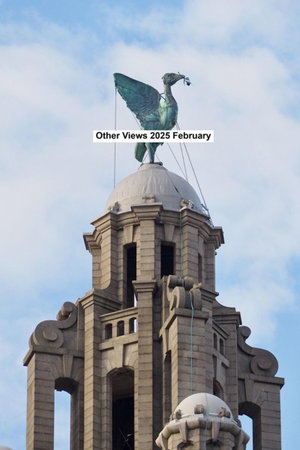 Other views 2025 February