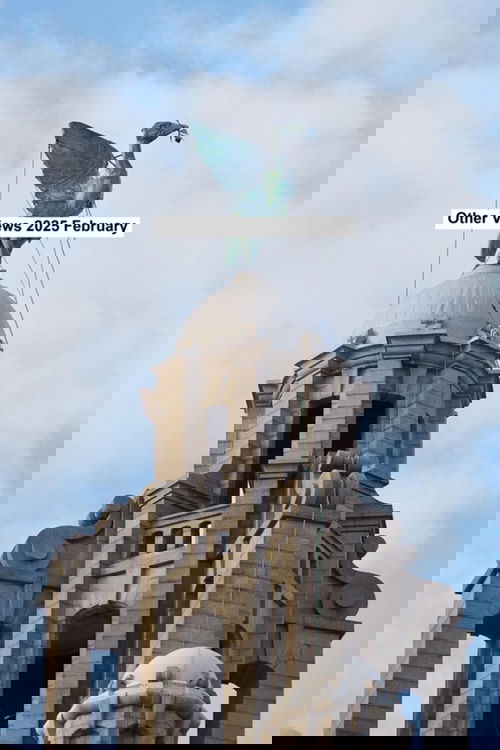 Other views 2025 February