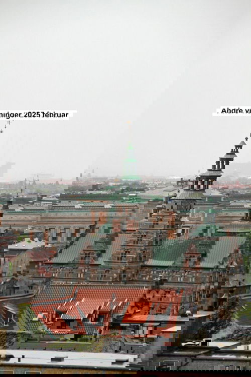 Andre visninger 2025 februar