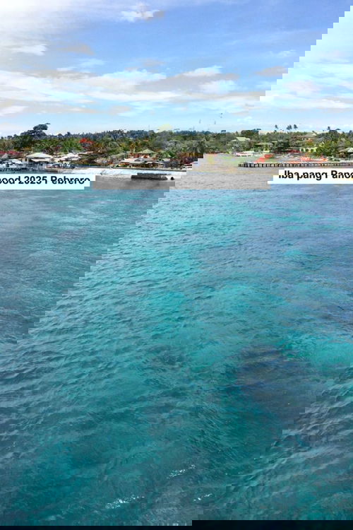 Iba pang Panonood 2025 Pebrero