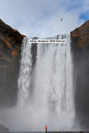 Aðrar skoðanir 2025 febrúar