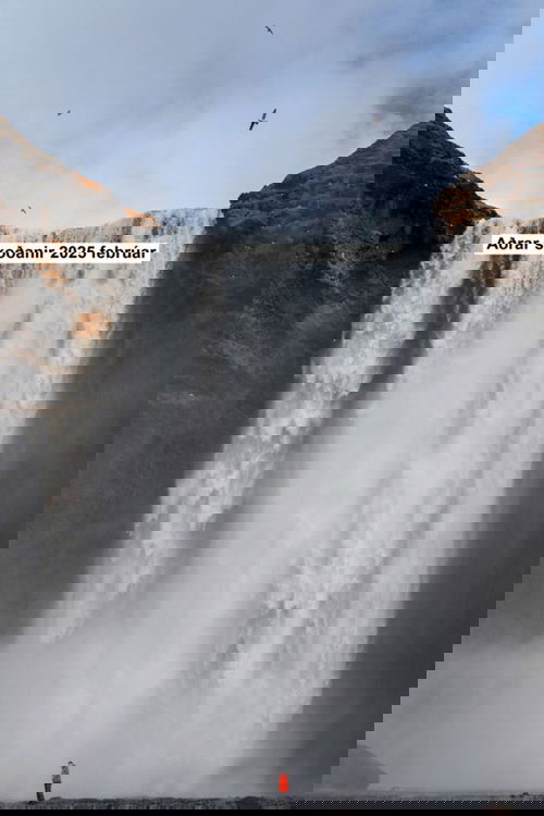 Aðrar skoðanir 2025 febrúar