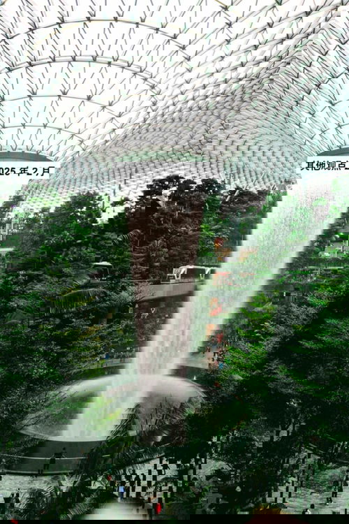 其他观点 2025 年 2 月