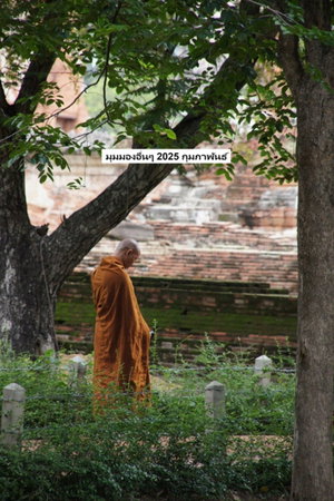 มุมมองอื่นๆ 2025 กุมภาพันธ์