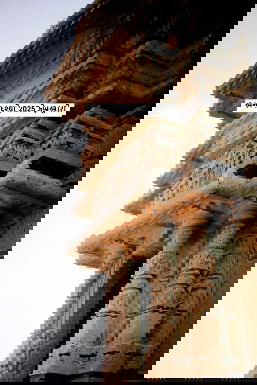 અન્ય દૃશ્યો 2025 ફેબ્રુઆરી