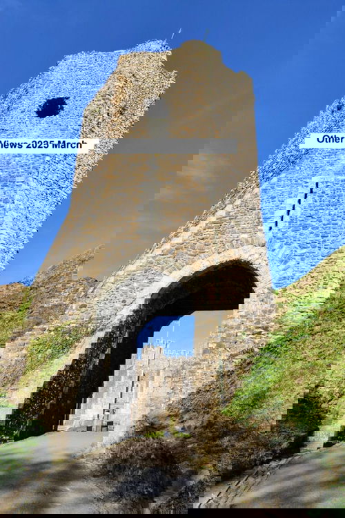 Other Views 2025 March