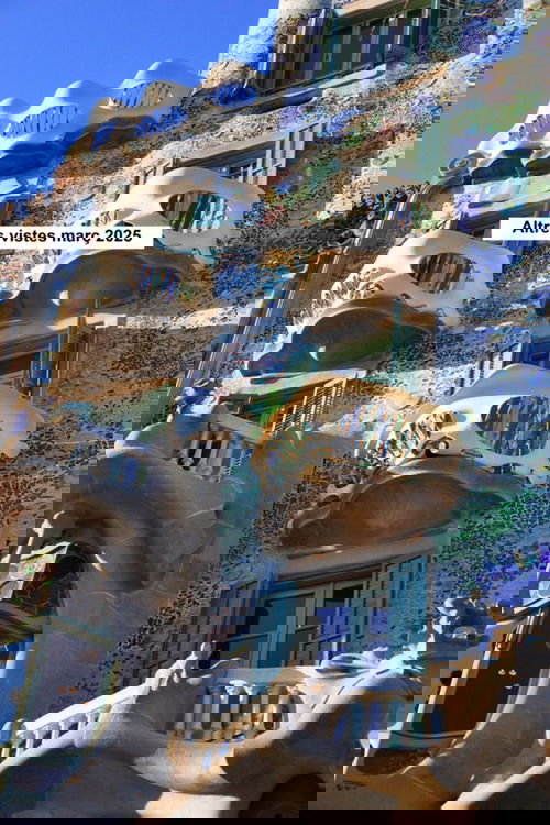 Altres mirades Març 2025