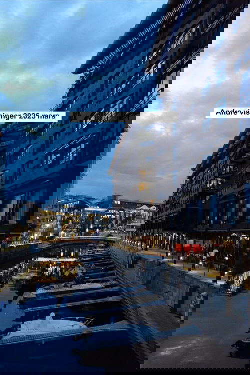 Andre visninger 2025 Mars