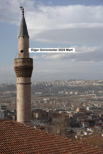 Diğer görüşler 2025 Mart