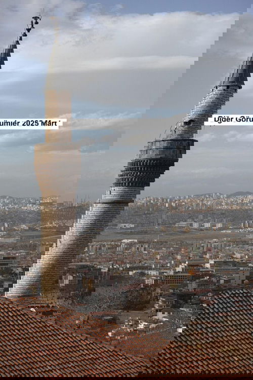 Diğer görüşler 2025 Mart