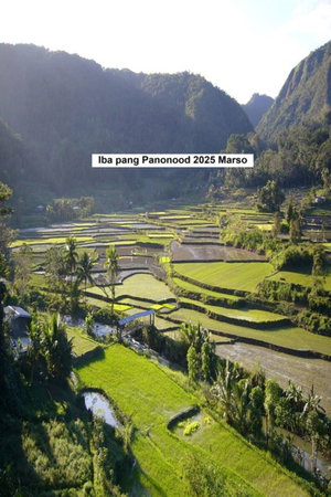 Iba pang mga pananaw 2025 Marso